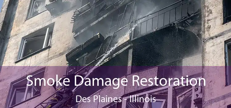 Smoke Damage Restoration Des Plaines - Illinois