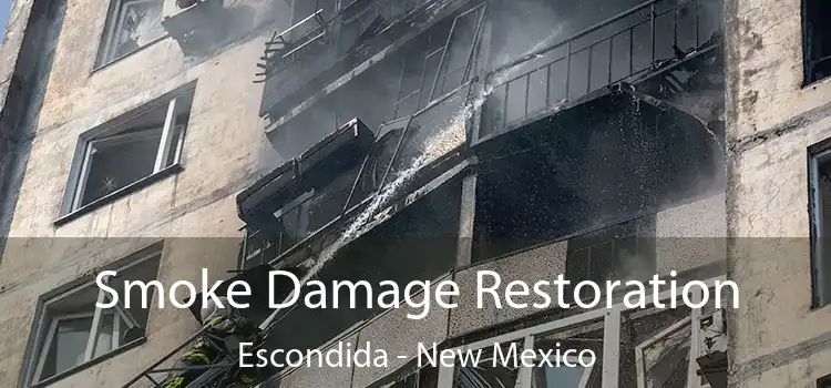 Smoke Damage Restoration Escondida - New Mexico