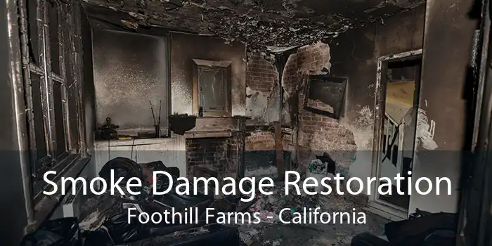 Smoke Damage Restoration Foothill Farms - California