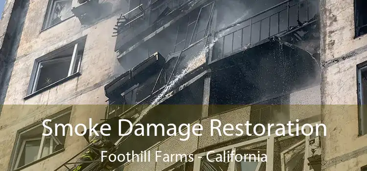 Smoke Damage Restoration Foothill Farms - California