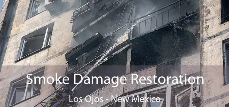 Smoke Damage Restoration Los Ojos - New Mexico