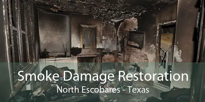 Smoke Damage Restoration North Escobares - Texas