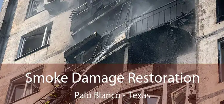 Smoke Damage Restoration Palo Blanco - Texas