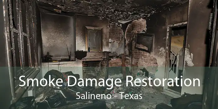 Smoke Damage Restoration Salineno - Texas