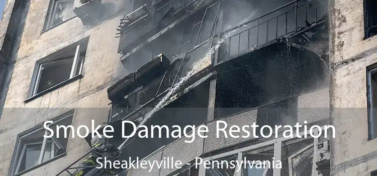 Smoke Damage Restoration Sheakleyville - Pennsylvania