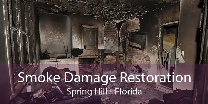 Smoke Damage Restoration Spring Hill - Florida