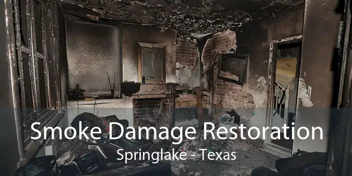 Smoke Damage Restoration Springlake - Texas