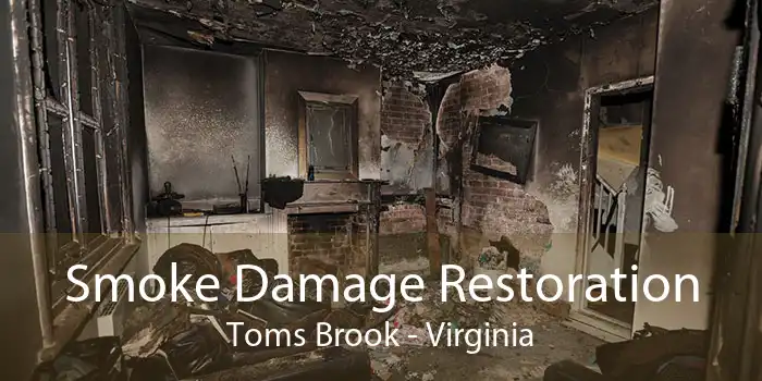 Smoke Damage Restoration Toms Brook - Virginia