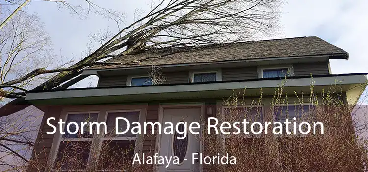 Storm Damage Restoration Alafaya - Florida