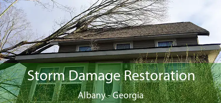 Storm Damage Restoration Albany - Georgia