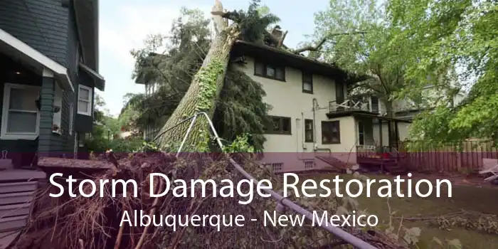 Storm Damage Restoration Albuquerque - New Mexico