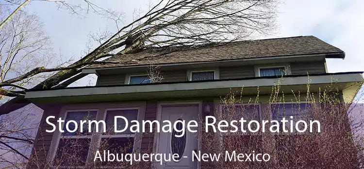 Storm Damage Restoration Albuquerque - New Mexico