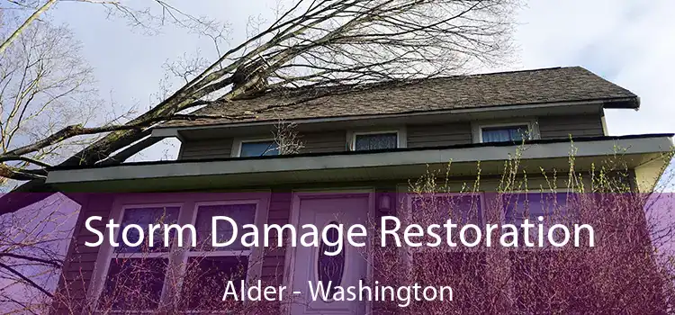 Storm Damage Restoration Alder - Washington