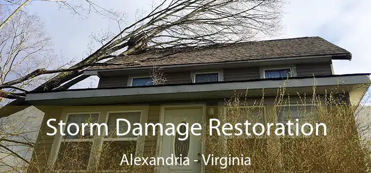 Storm Damage Restoration Alexandria - Virginia