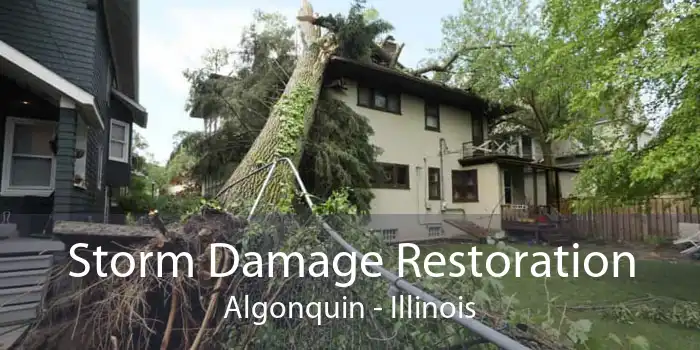 Storm Damage Restoration Algonquin - Illinois