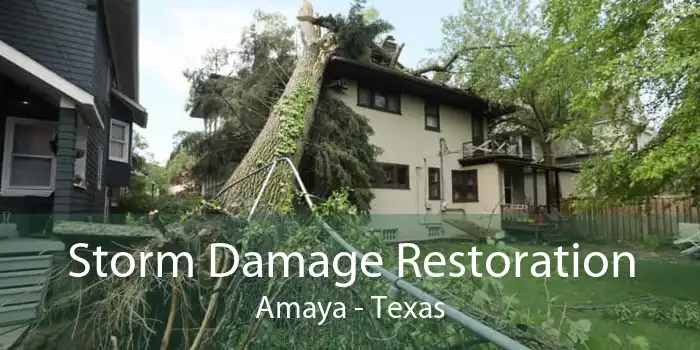 Storm Damage Restoration Amaya - Texas
