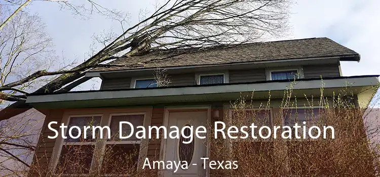 Storm Damage Restoration Amaya - Texas