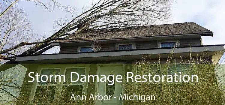 Storm Damage Restoration Ann Arbor - Michigan