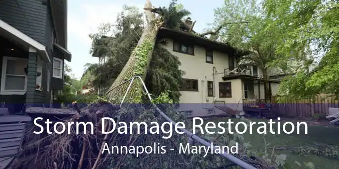 Storm Damage Restoration Annapolis - Maryland