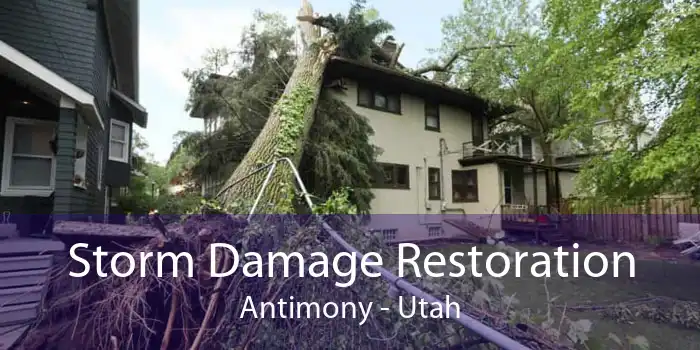 Storm Damage Restoration Antimony - Utah