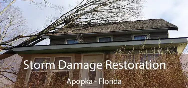 Storm Damage Restoration Apopka - Florida