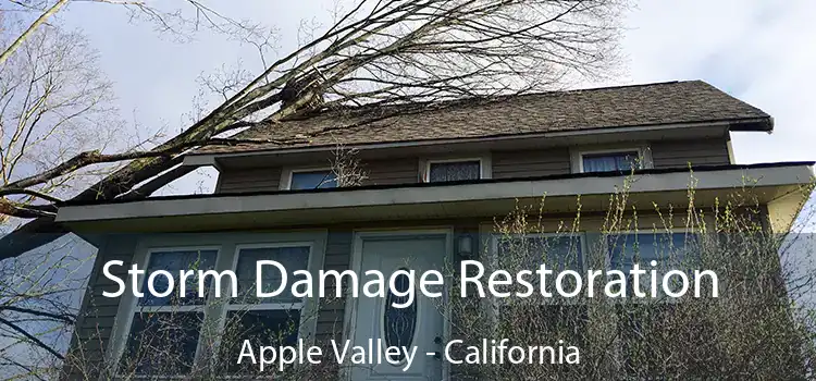 Storm Damage Restoration Apple Valley - California