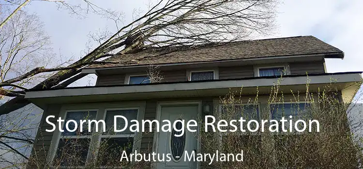 Storm Damage Restoration Arbutus - Maryland