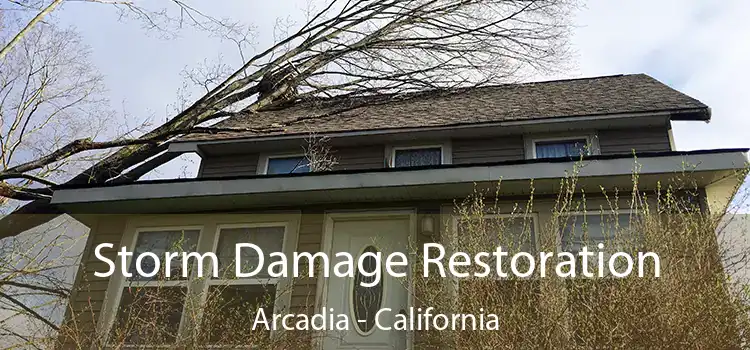 Storm Damage Restoration Arcadia - California