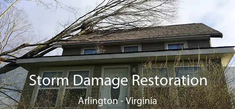 Storm Damage Restoration Arlington - Virginia