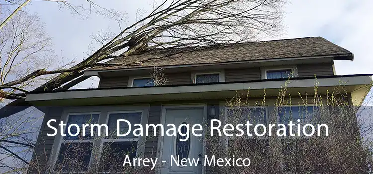 Storm Damage Restoration Arrey - New Mexico