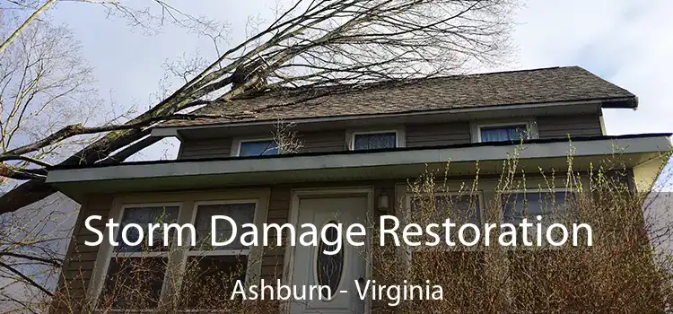 Storm Damage Restoration Ashburn - Virginia