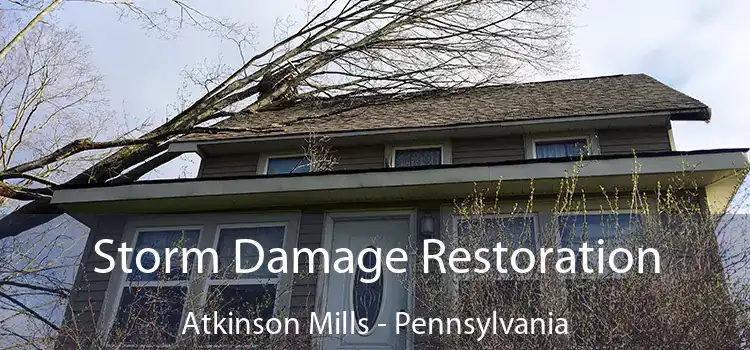 Storm Damage Restoration Atkinson Mills - Pennsylvania