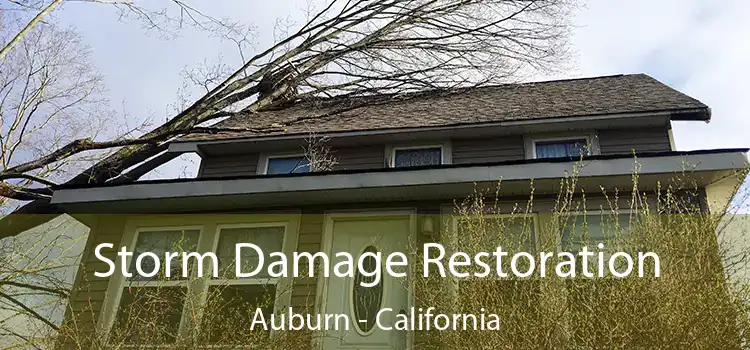 Storm Damage Restoration Auburn - California