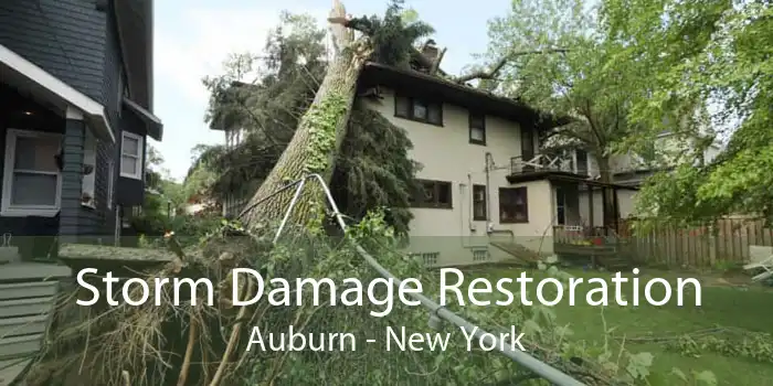 Storm Damage Restoration Auburn - New York