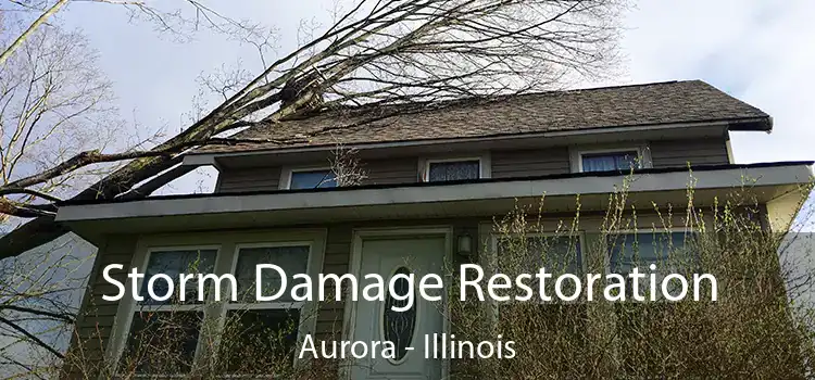 Storm Damage Restoration Aurora - Illinois