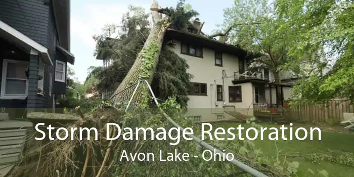 Storm Damage Restoration Avon Lake - Ohio