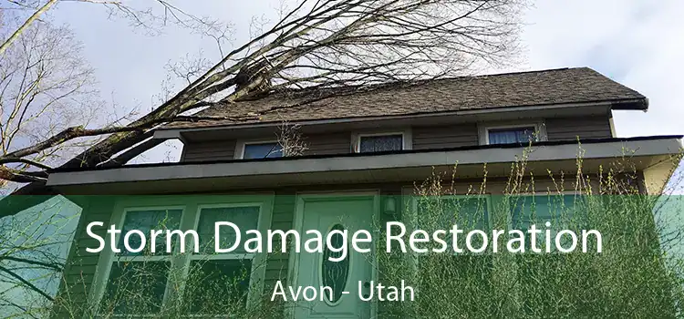 Storm Damage Restoration Avon - Utah