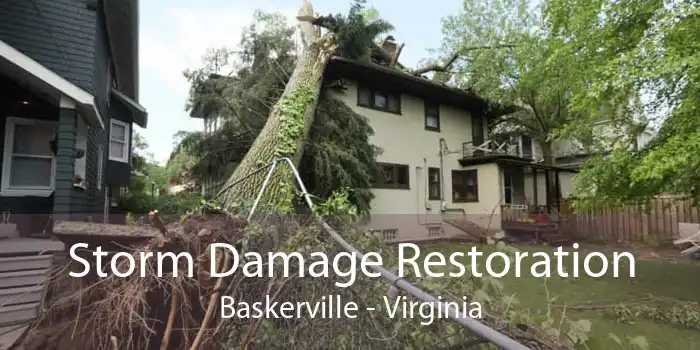 Storm Damage Restoration Baskerville - Virginia