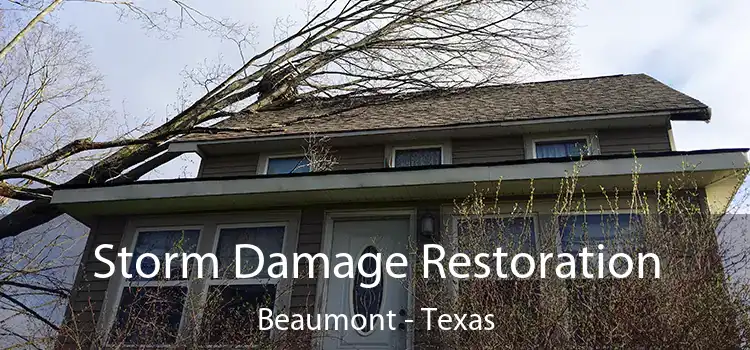 Storm Damage Restoration Beaumont - Texas