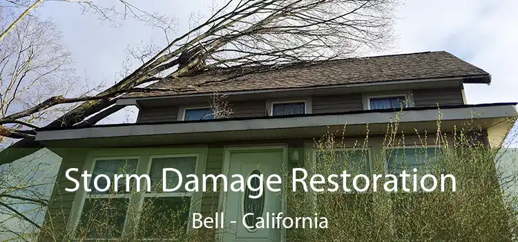 Storm Damage Restoration Bell - California