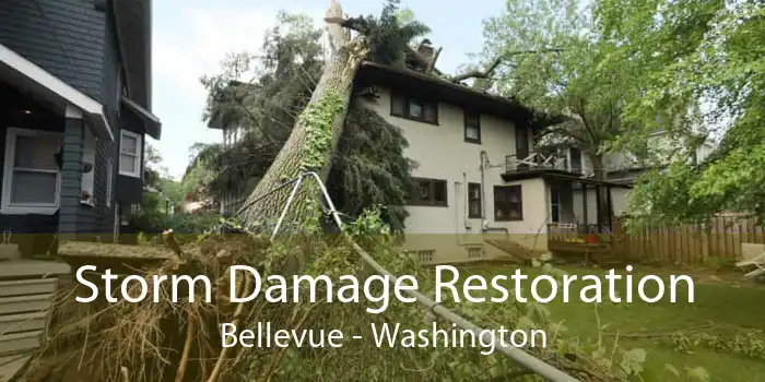 Storm Damage Restoration Bellevue - Washington