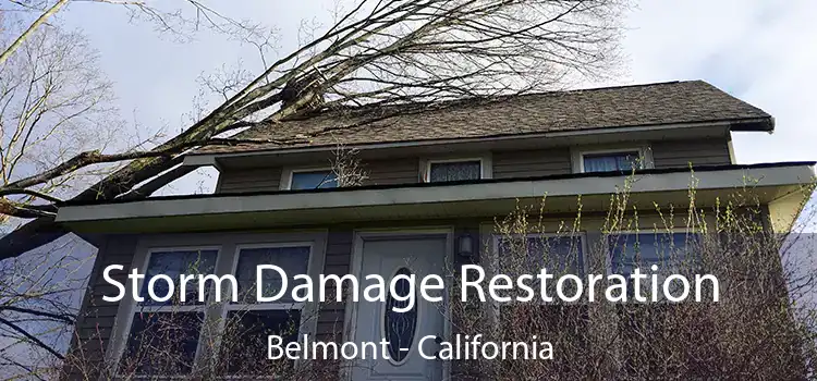 Storm Damage Restoration Belmont - California