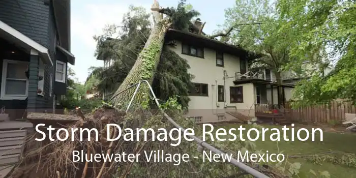 Storm Damage Restoration Bluewater Village - New Mexico