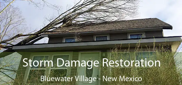 Storm Damage Restoration Bluewater Village - New Mexico