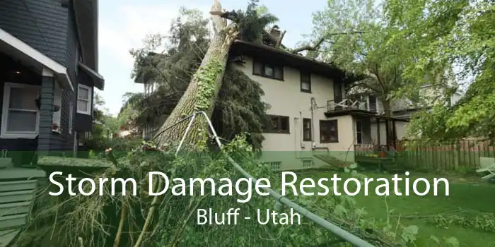 Storm Damage Restoration Bluff - Utah