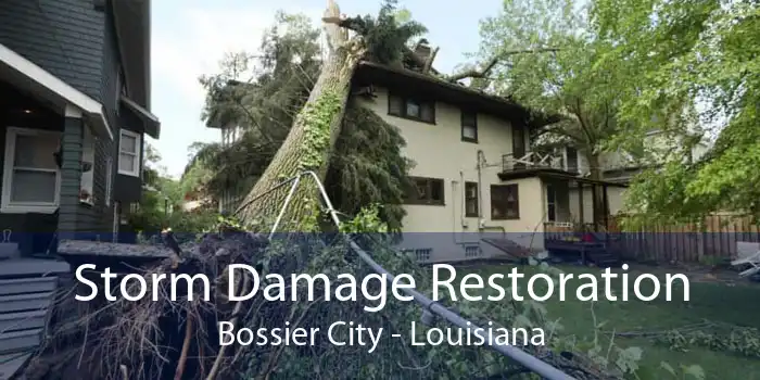 Storm Damage Restoration Bossier City - Louisiana