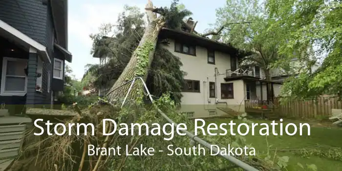 Storm Damage Restoration Brant Lake - South Dakota