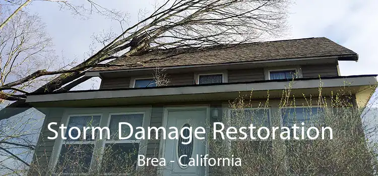 Storm Damage Restoration Brea - California