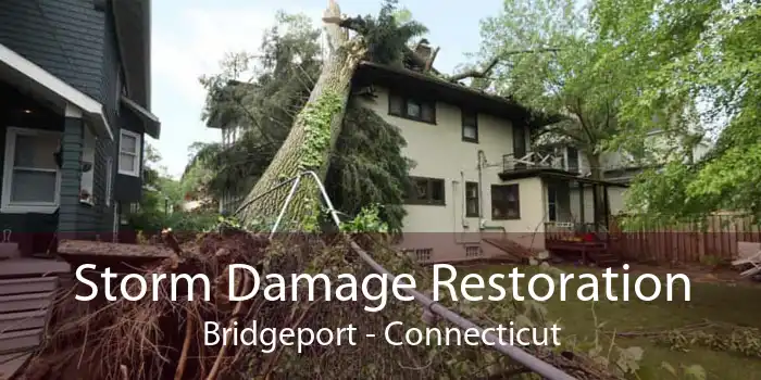 Storm Damage Restoration Bridgeport - Connecticut