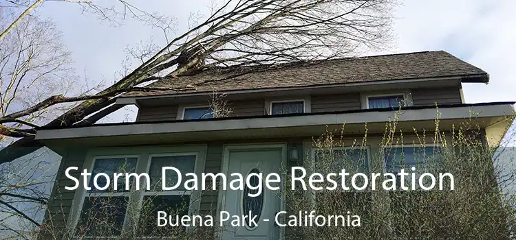 Storm Damage Restoration Buena Park - California